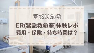 アメリカでの家探し 良い物件を選ぶポイントと必須確認事項